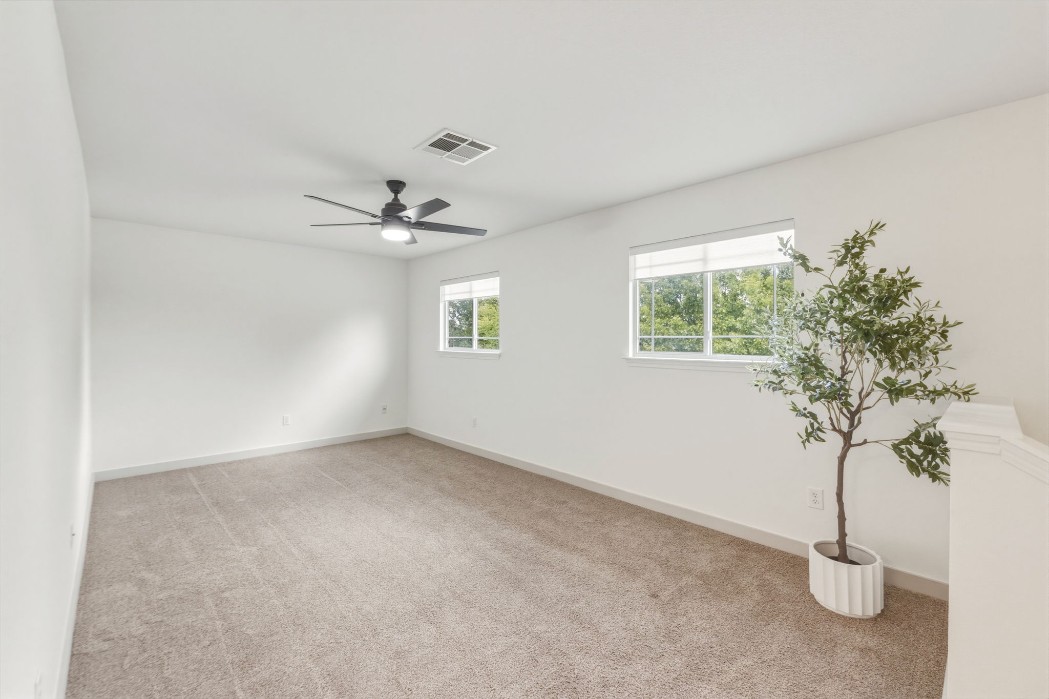 211 Banner Avenue Leander, TX 78641 - Photo 15 of 27 a view of a room with a potted plant