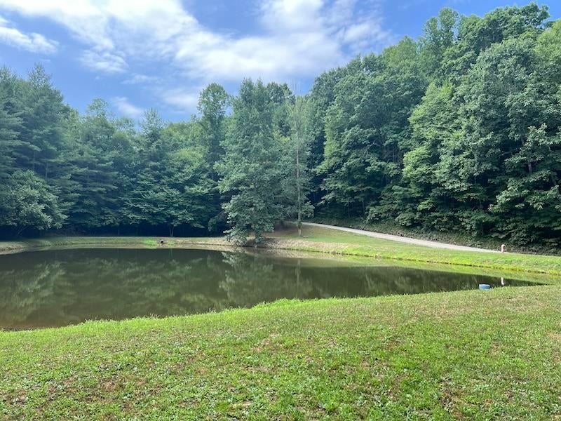 Tbd Music Road Northwest Floyd, VA 24091 - Photo 17 of 26 Gallery Image 17