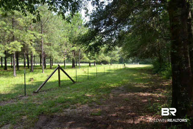 27608 County Road 65 Loxley, AL 36551 - Photo 17 of 32 Woods to East
