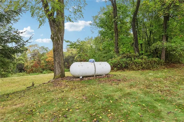 a view of a yard with plants