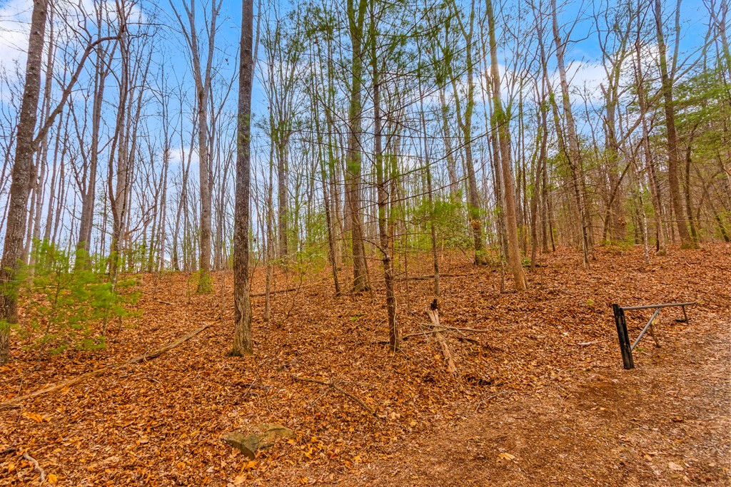 1.03-ac Guy Eller Road Murphy, NC 28906 - Photo 8 of 27