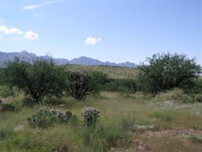 5346 East Edwin Road Tucson, AZ 85739 - Photo 9 of 10 Gallery Image 9