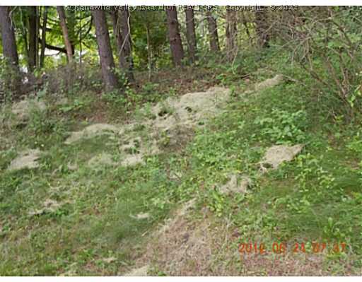 5429 Tanglewood Road Charleston, WV 25313 - Photo 16 of 16 Land/Lot.