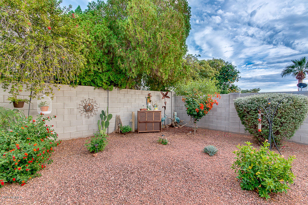 5341 East Adobe Road Mesa, AZ 85205 - Photo 47 of 56 50-Adobe