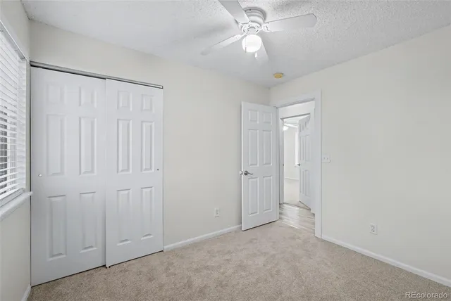 $2,700 | 173 Rockaway Avenue, Castle Rock, CO 80104