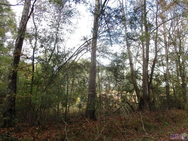 $40,000 | Lot B Perkins Road, Norwood, LA 70761