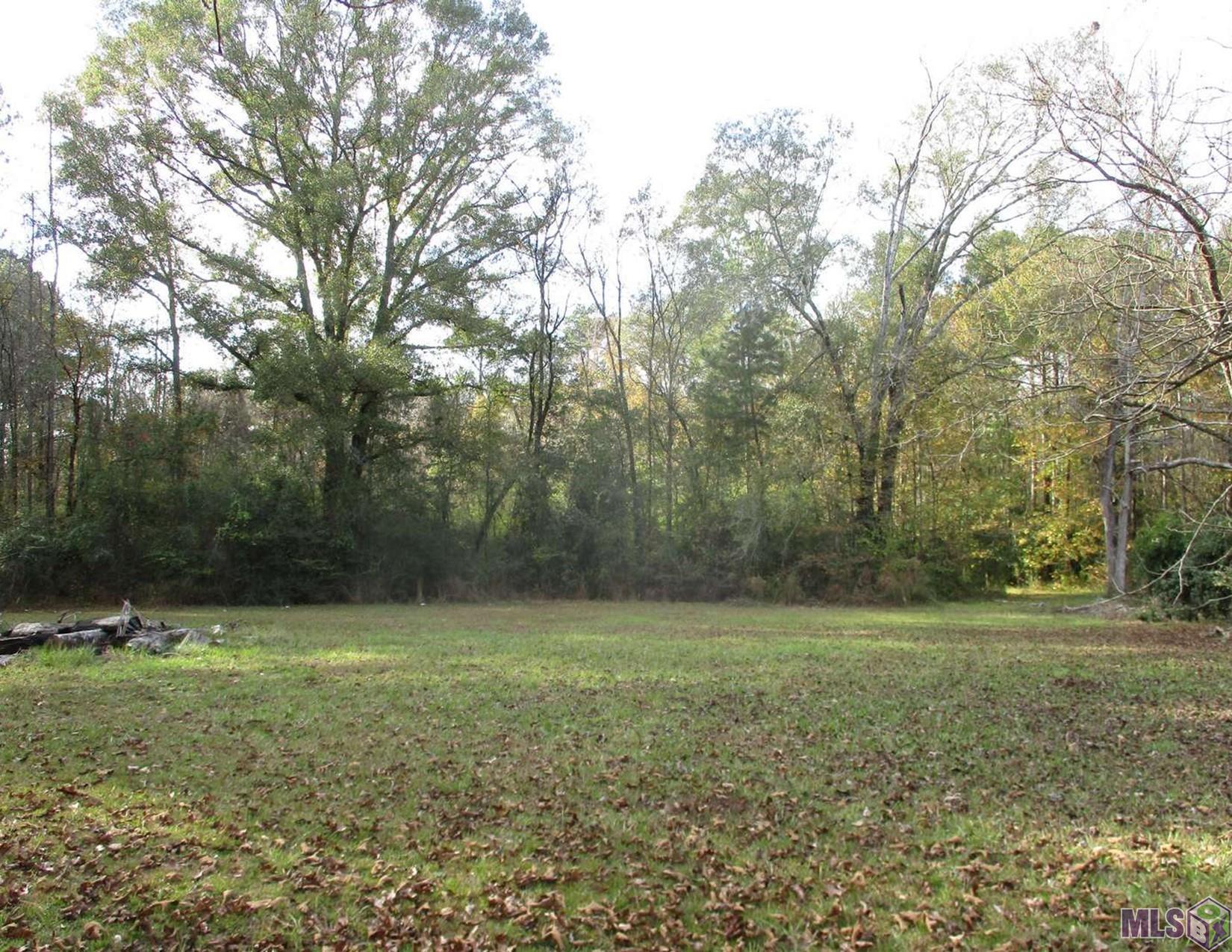 Lot B Perkins Road Norwood, LA 70761 - Photo 5 of 5