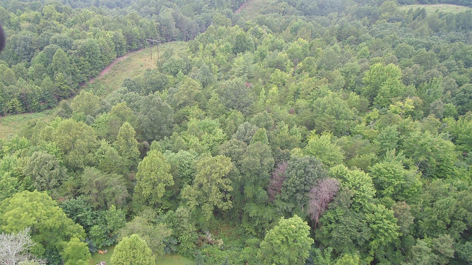 9999 Galimore Road Pine Knot, KY 42635 - Photo 30 of 35 Photo 30