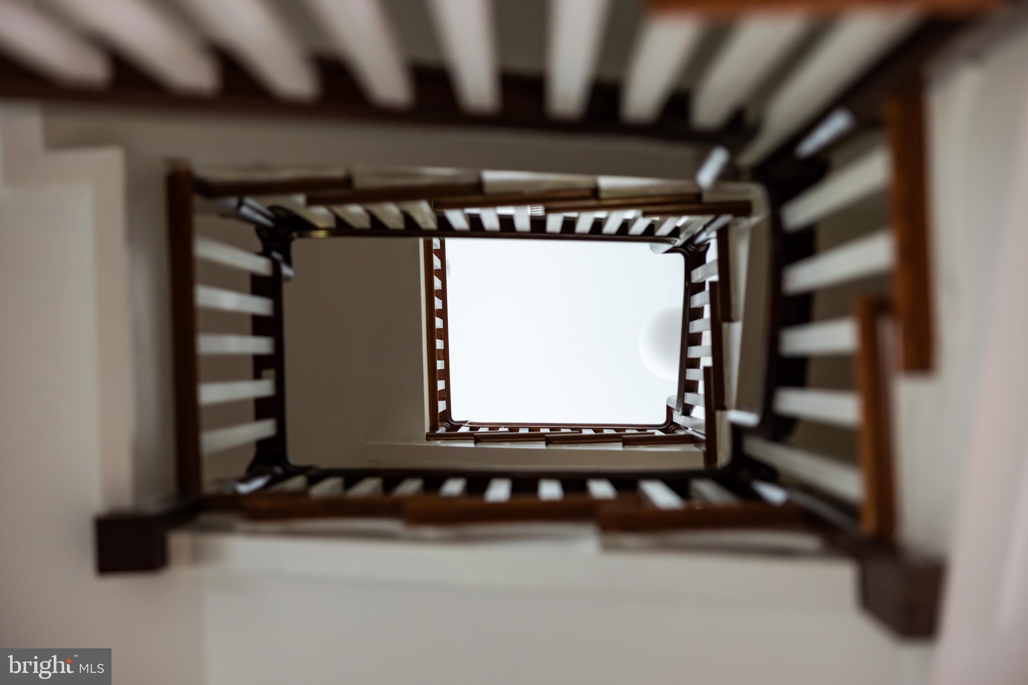 2809 34th Place Northwest Washington, DC 20007 - Photo 26 of 50