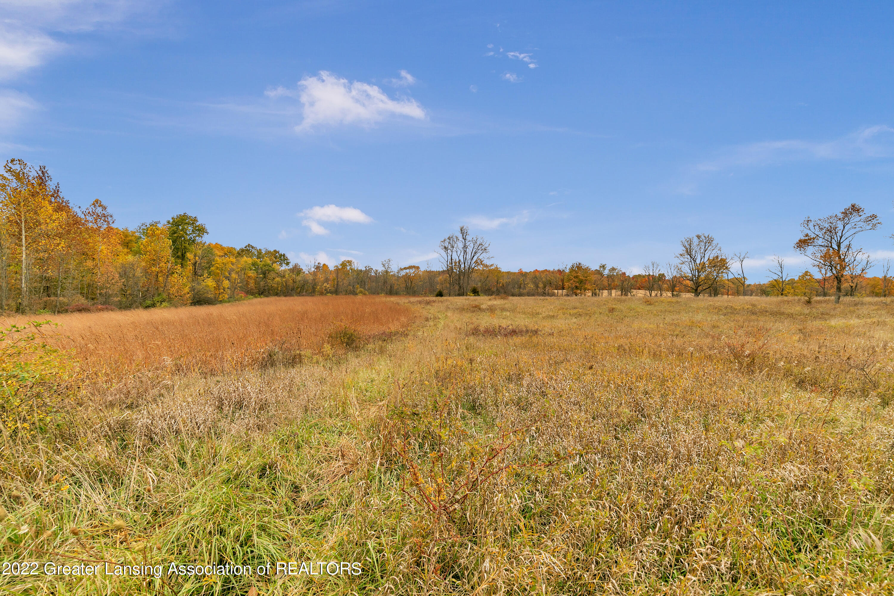 6930 Lacey Lake Road Bellevue, MI 49021 - Photo 54 of 56 9I3A0385