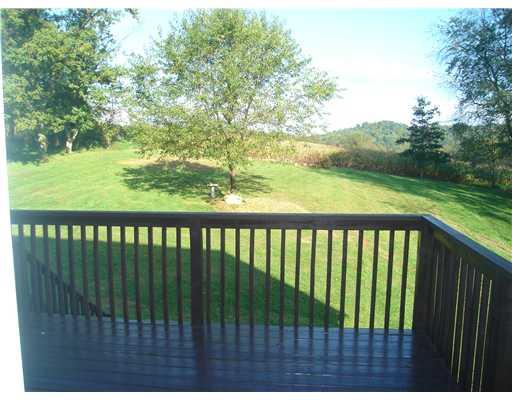 132 Hepler Road Sarver, PA 16055 - Photo 13 of 15 View. VIEW FROM DINING ROOM, PRIVACY GALORE. BACKS TO CORN FIELD.
