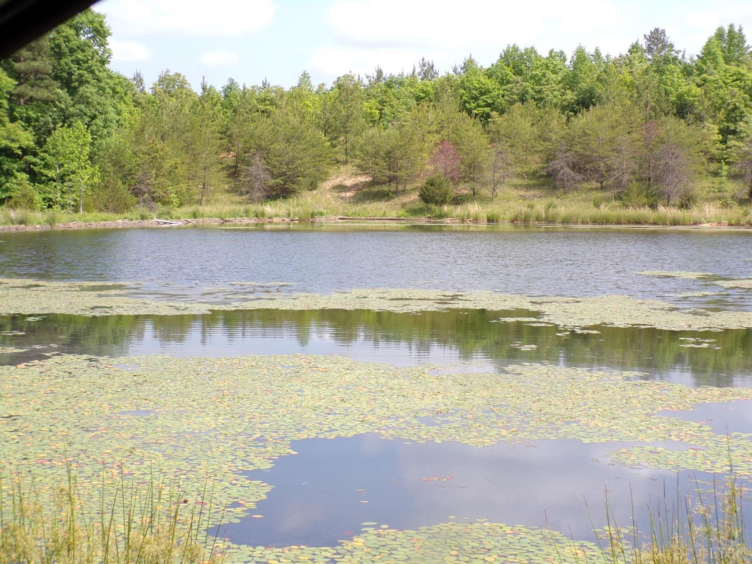 0 Off Toga Road Dillwyn, VA 23936 - Photo 14 of 25 a view of a lake with a mountain