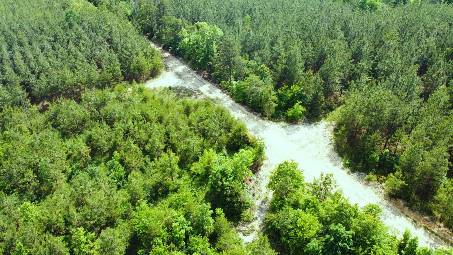 0 Off Toga Road Dillwyn, VA 23936 - Photo 8 of 25 a view of a lush green forest with lots of trees