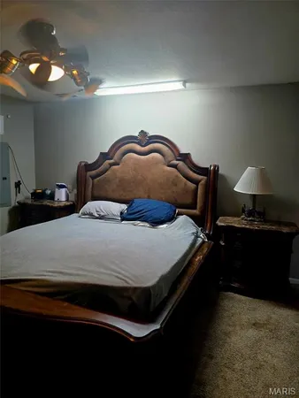 $249,900 | 229 Carter 254, Grandin, MO 63943