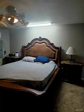 $249,900 | 229 Carter 254, Grandin, MO 63943