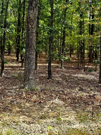 $249,900 | 229 Carter 254, Grandin, MO 63943