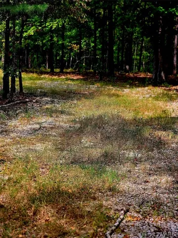 $249,900 | 229 Carter 254, Grandin, MO 63943