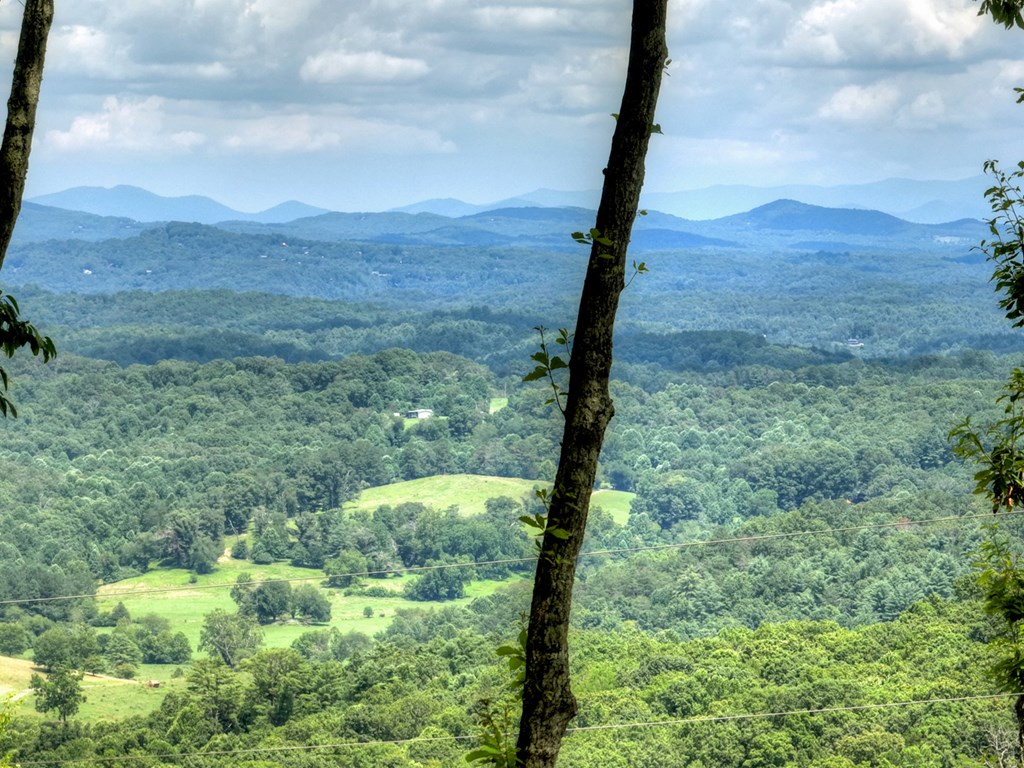 65 Highland Tower Road Blue Ridge, GA 30513 - Photo 41 of 48 a view of a forest with a mountain