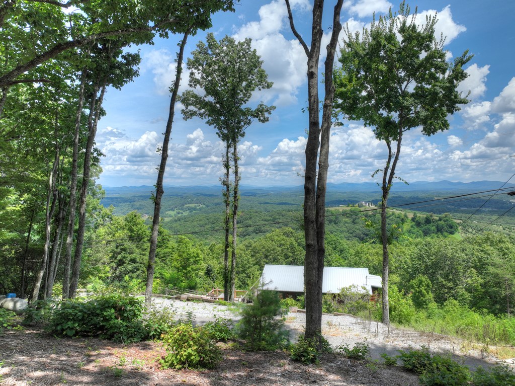 65 Highland Tower Road Blue Ridge, GA 30513 - Photo 42 of 48