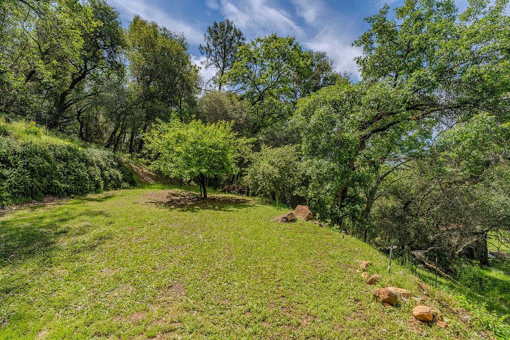 13730 June Way Jackson, CA 95642 - Photo 40 of 72