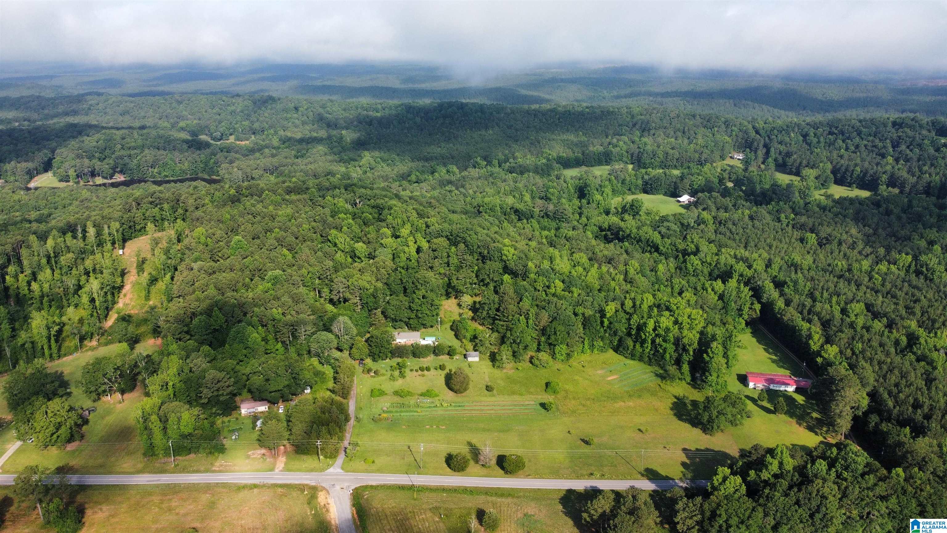 1505 Camp Creek Road Cropwell, AL 35054 - Photo 45 of 48