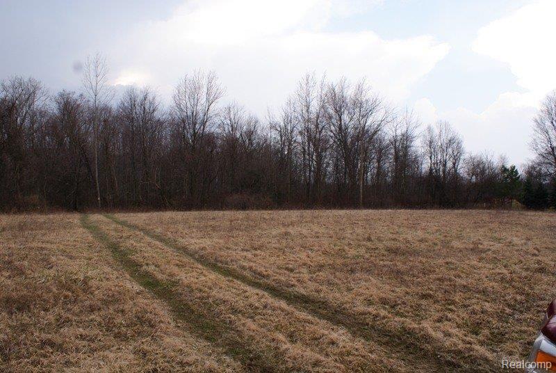 4050 South Hadley Road Metamora, MI 48455 - Photo 2 of 7 DSC09125.JPG