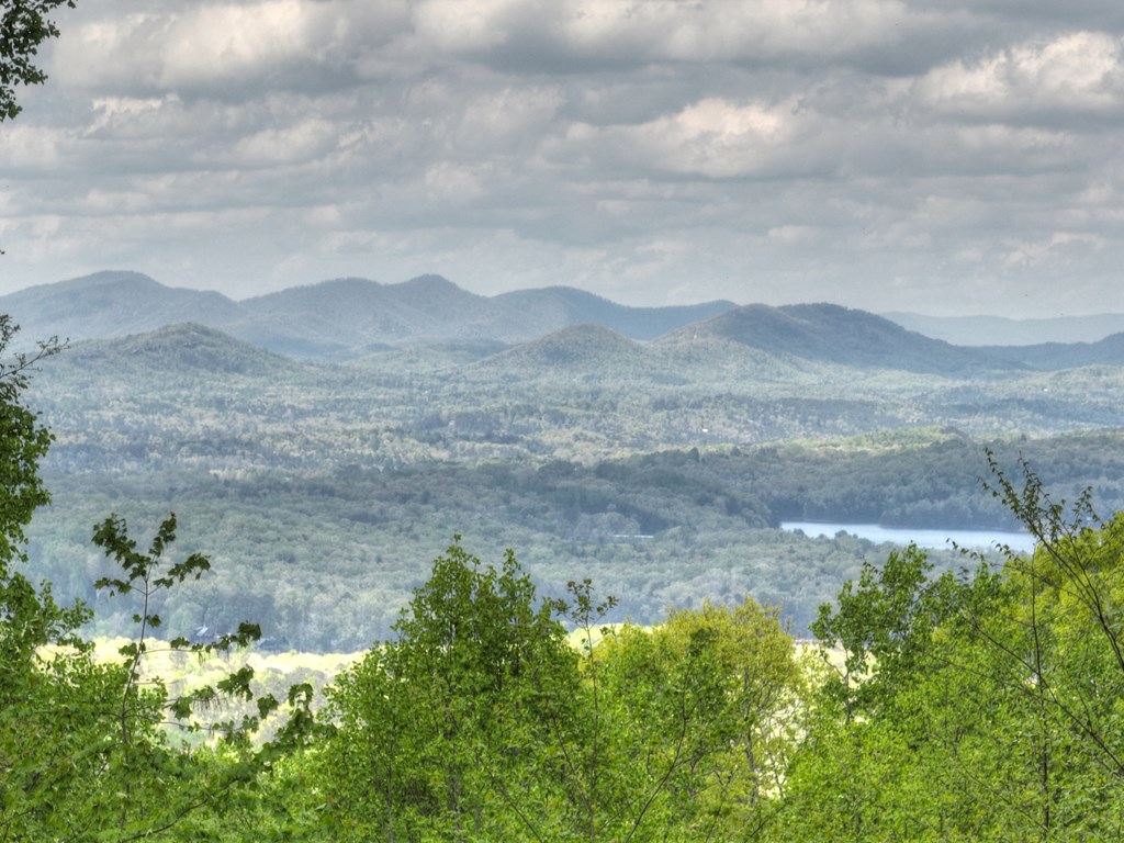 253 Green Ridge Mountain Blue Ridge, GA 30513 - Photo 38 of 59 Gallery Image 38