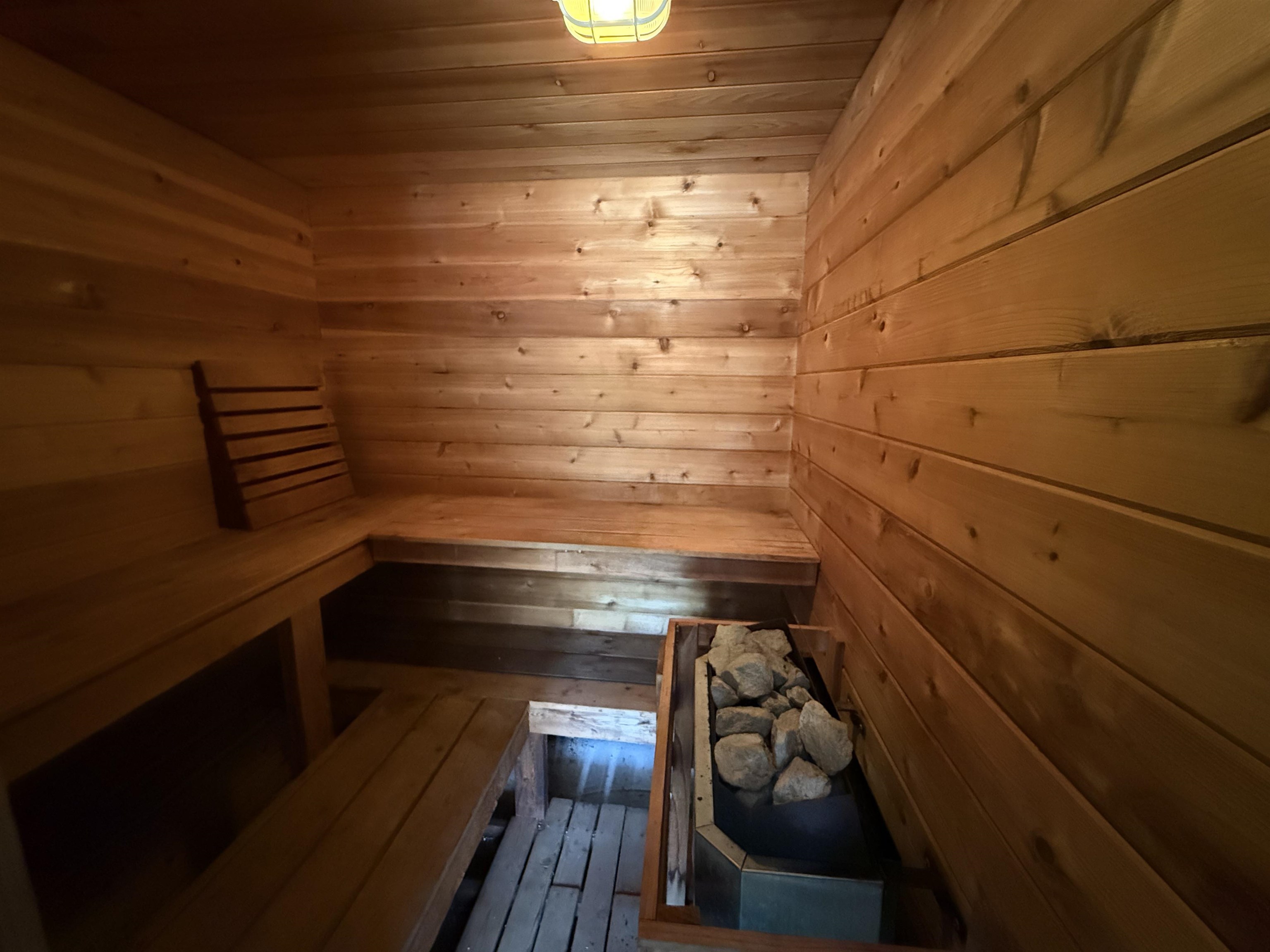 1777 Higginbottom Road Selmer, TN 38375 - Photo 16 of 19 Wood-paneled sauna featuring a built-in heater with rocks, slatted wood benches, and a wall-mounted light fixture