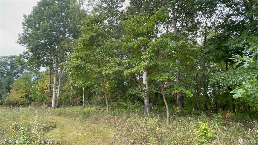 2947 Parmenter Road Corunna, MI 48817 - Photo 48 of 51