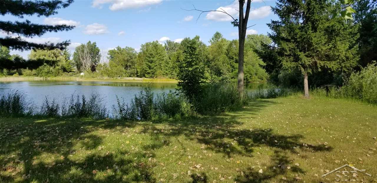 3730 West Howard Road Beaverton, MI 48612 - Photo 4 of 21