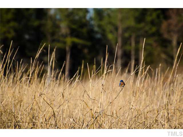 Lambert Chapel Road Siler City, NC 27344 - Photo 7 of 16 Photo 7