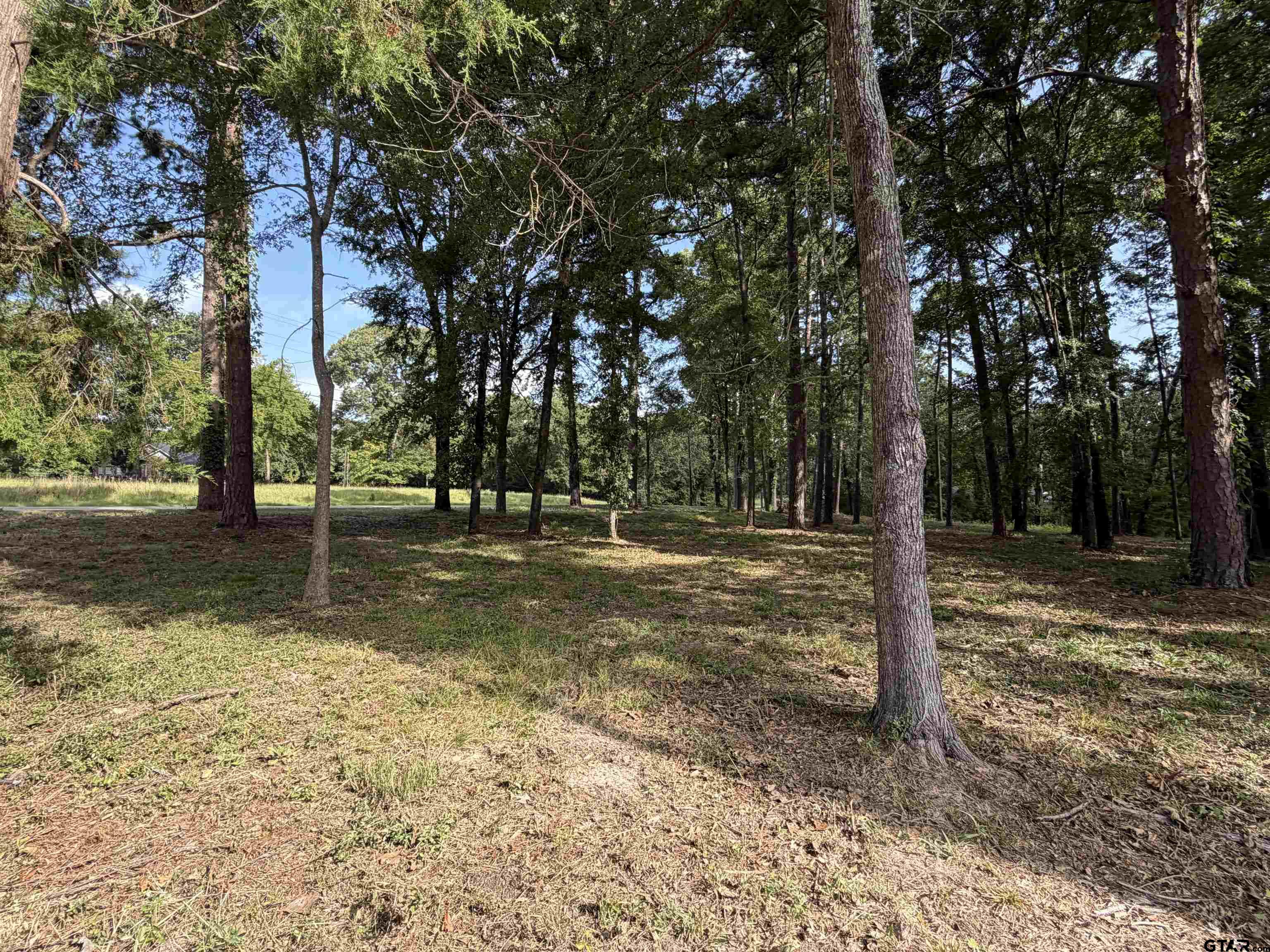 Tbd Tbd Wilson Road Tyler, TX 75707 - Photo 19 of 24 Gallery Image 19