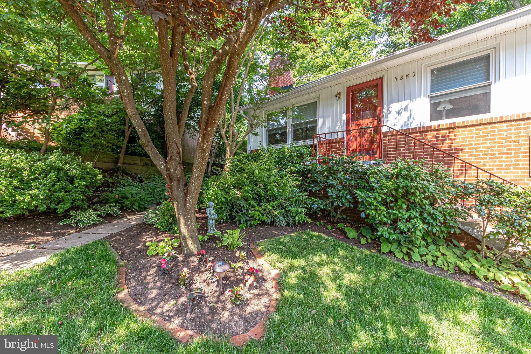 5885 9th Road North Arlington, VA 22205 - Photo 5 of 67