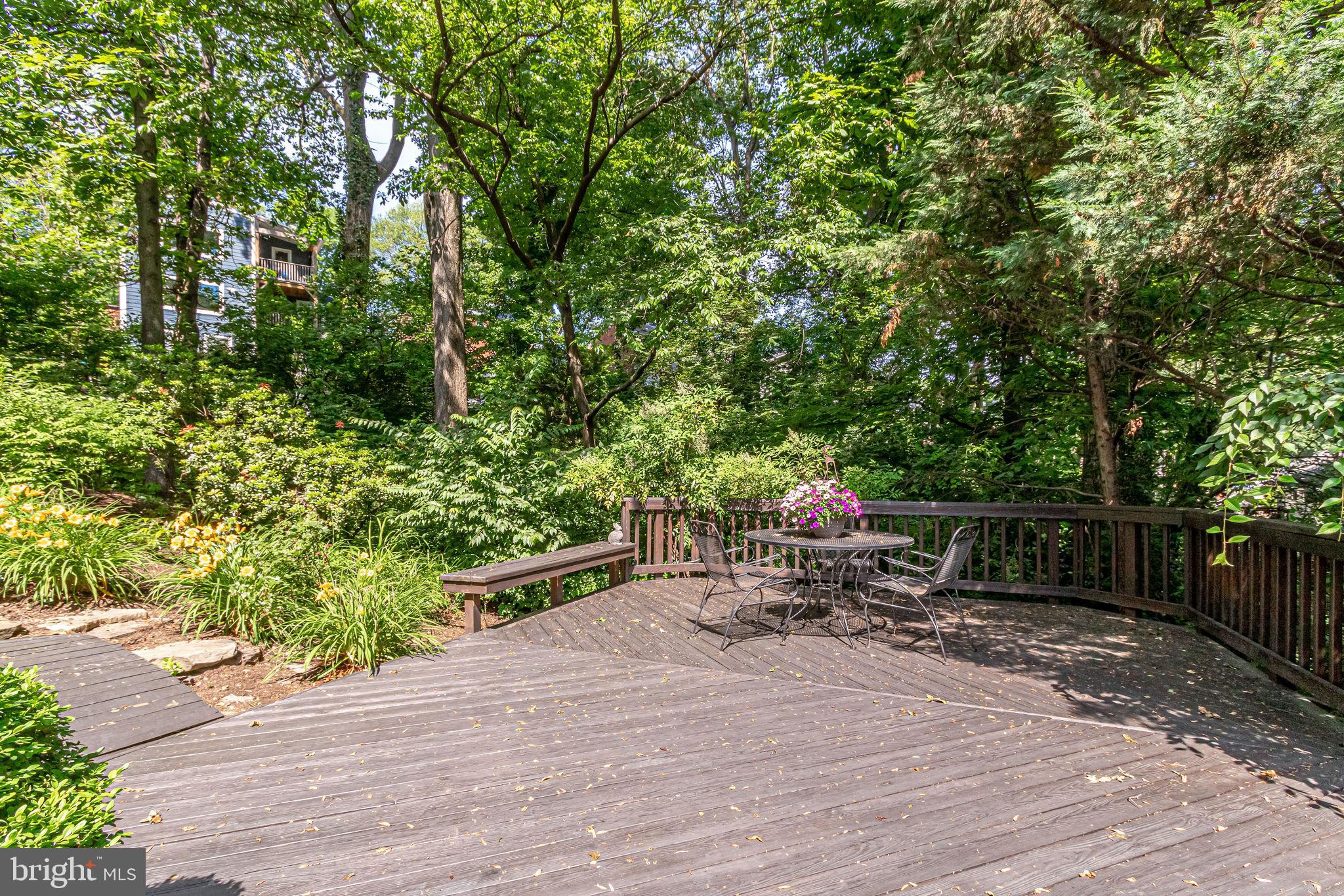 5885 9th Road North Arlington, VA 22205 - Photo 64 of 67