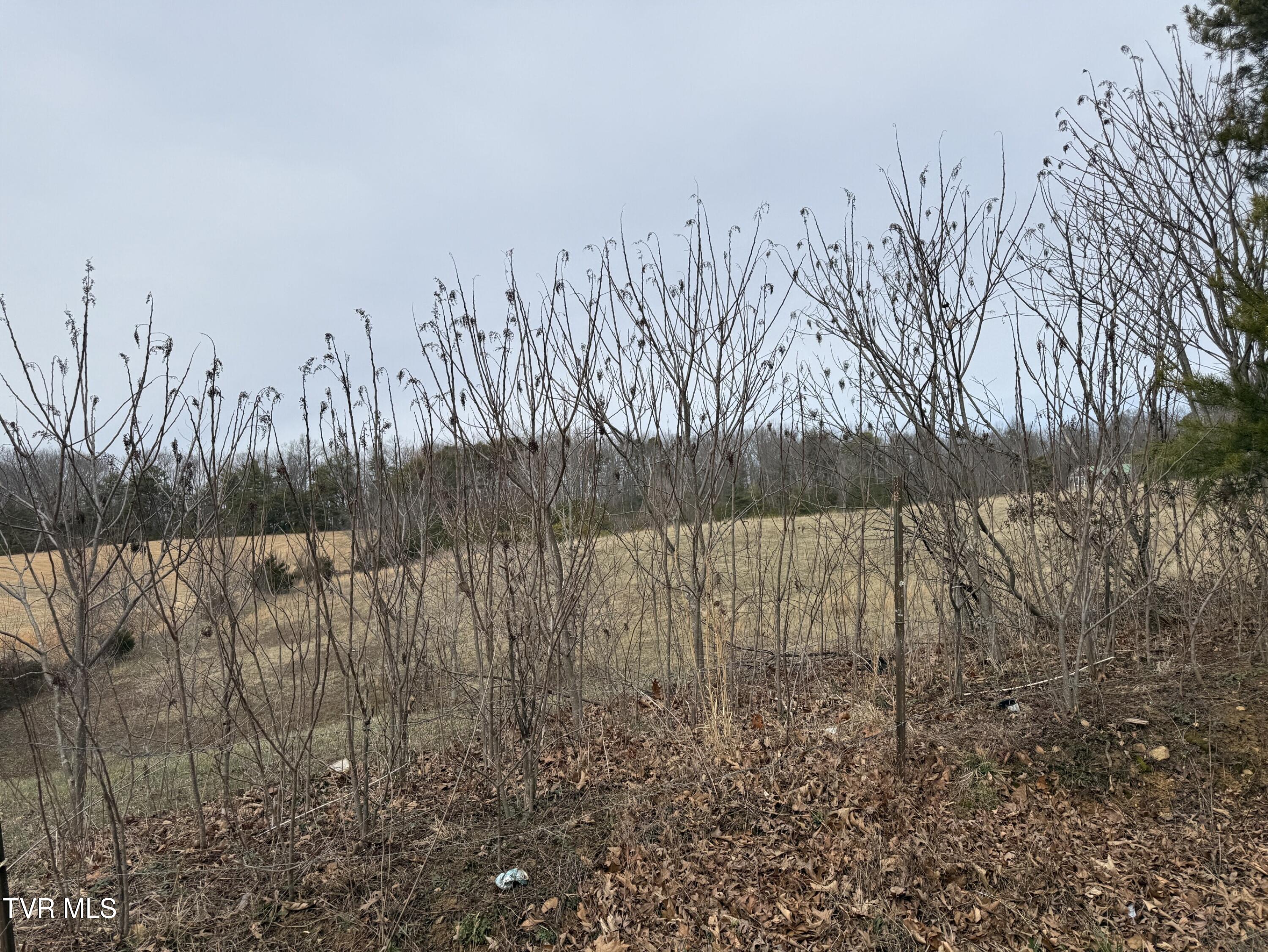 2160 Little Meadow Creek Road Greeneville, TN 37743 - Photo 3 of 8 Countryside views