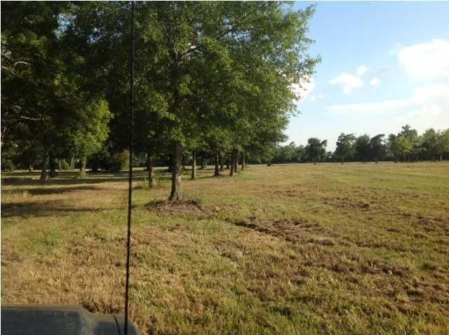 0 Monceaux Road Rayne, LA 70578 - Photo 8 of 12 Additional Photo