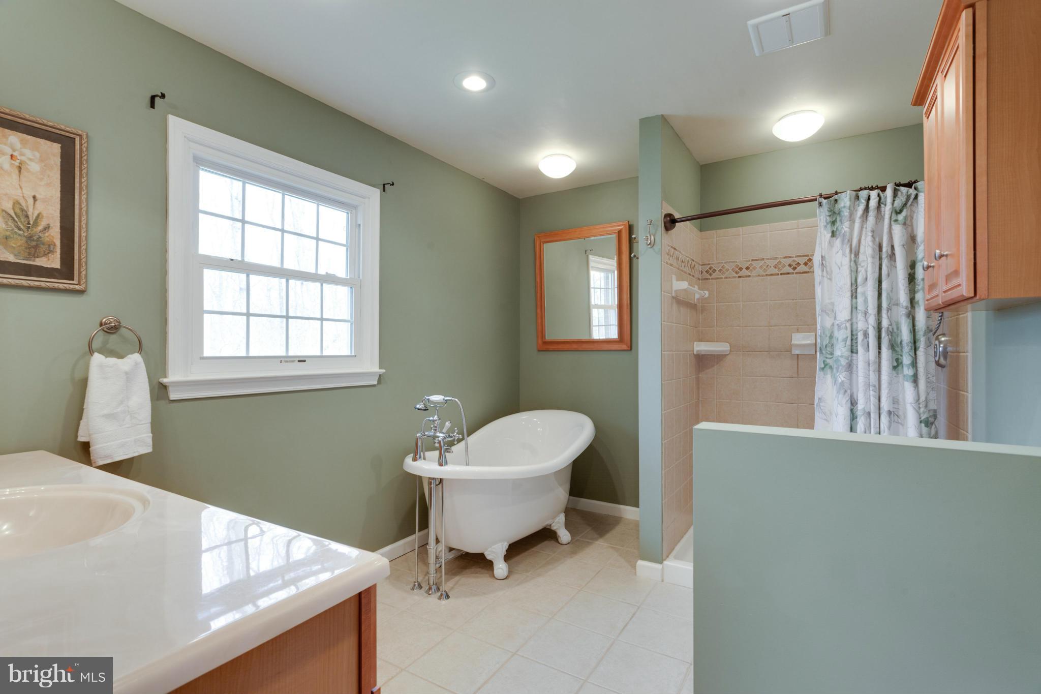 17671 Canby Road Leesburg, VA 20175 - Photo 14 of 30 Bath (Master)