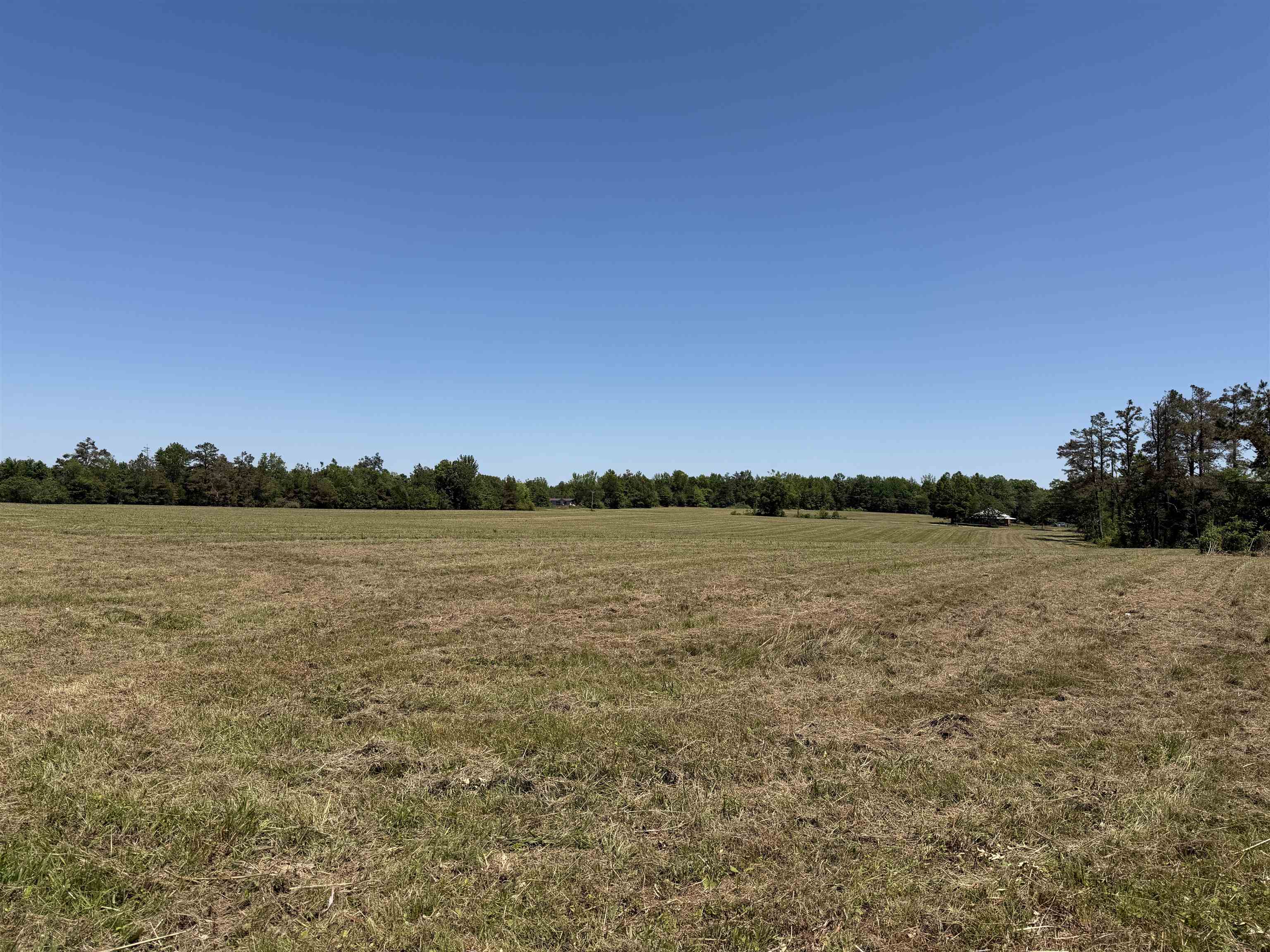 4 69th Highway Adamsville, TN 38310 - Photo 8 of 13