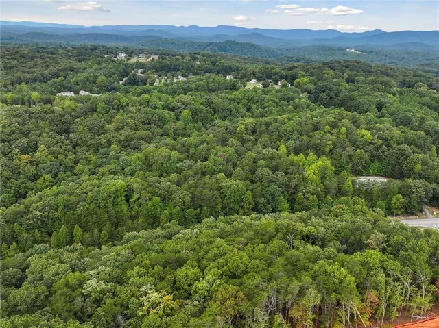 $750,000 | 2589 Morrison Moore Parkway East, Dahlonega, GA 30533