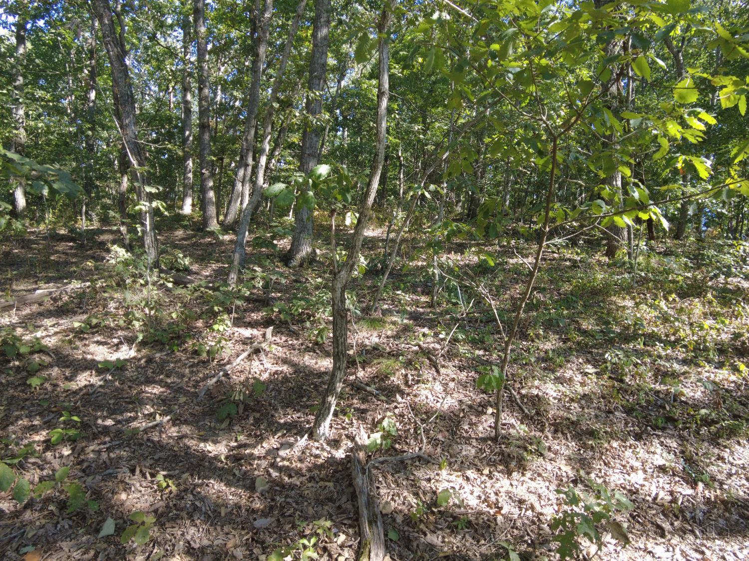 16 Black Hollow Road Peebles, OH 45660 - Photo 22 of 39