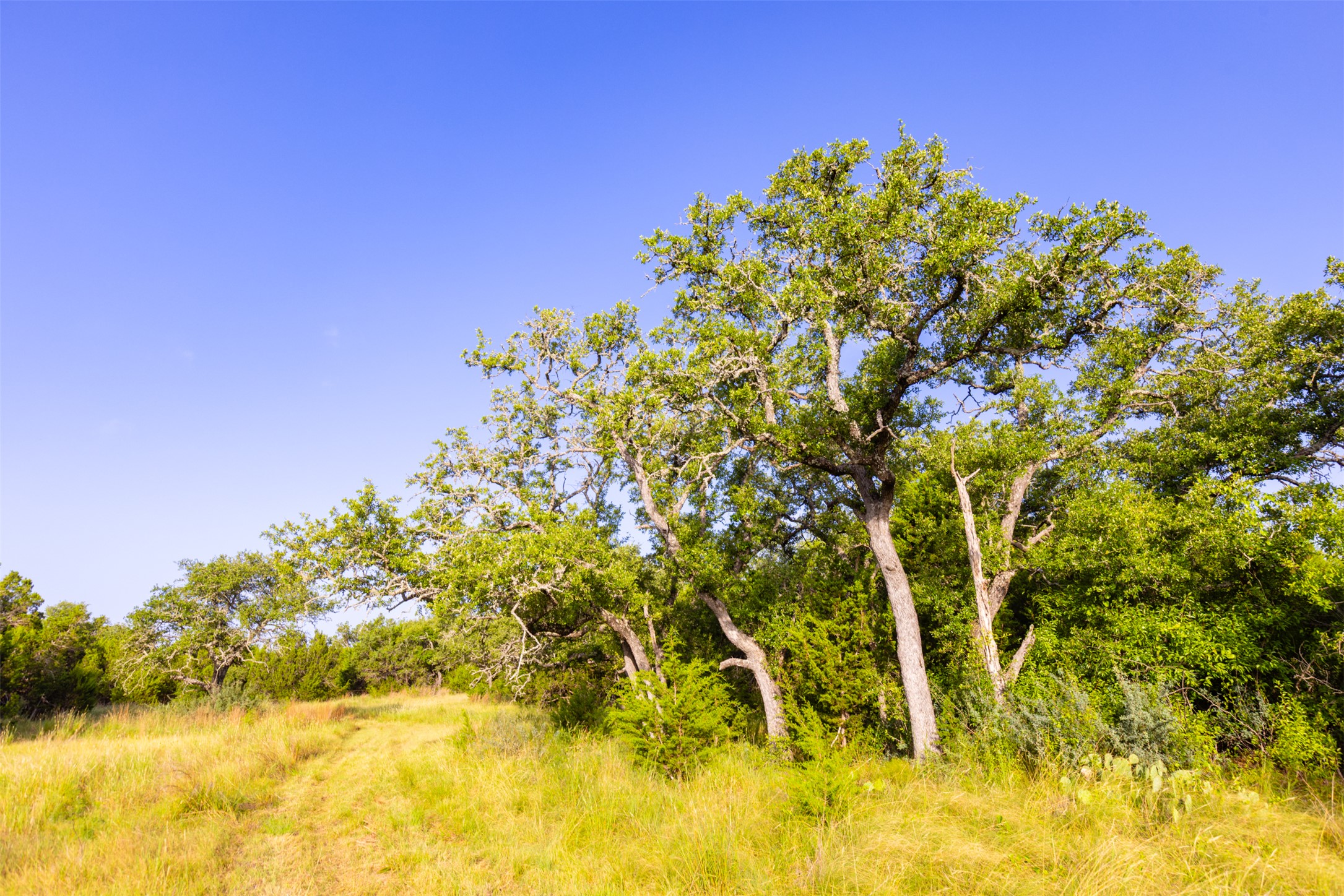 572 Turner Road Menard, TX 76859 - Photo 16 of 40 Gallery Image 16