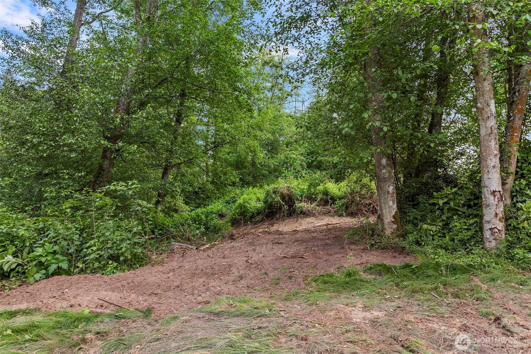 a view of a large yard with lots of green space