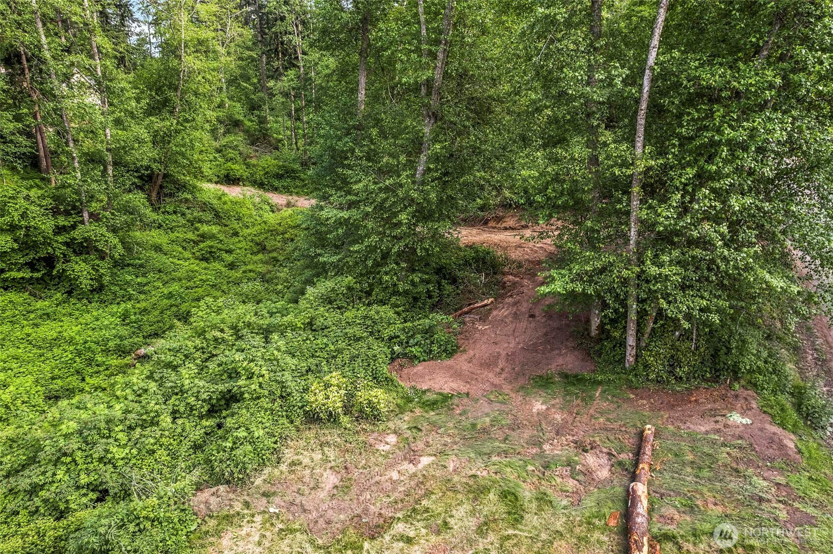 -xxx Osprey Road, Unit 152 Freeland, WA 98249 - Photo 14 of 14 a view of a yard with plants and large trees