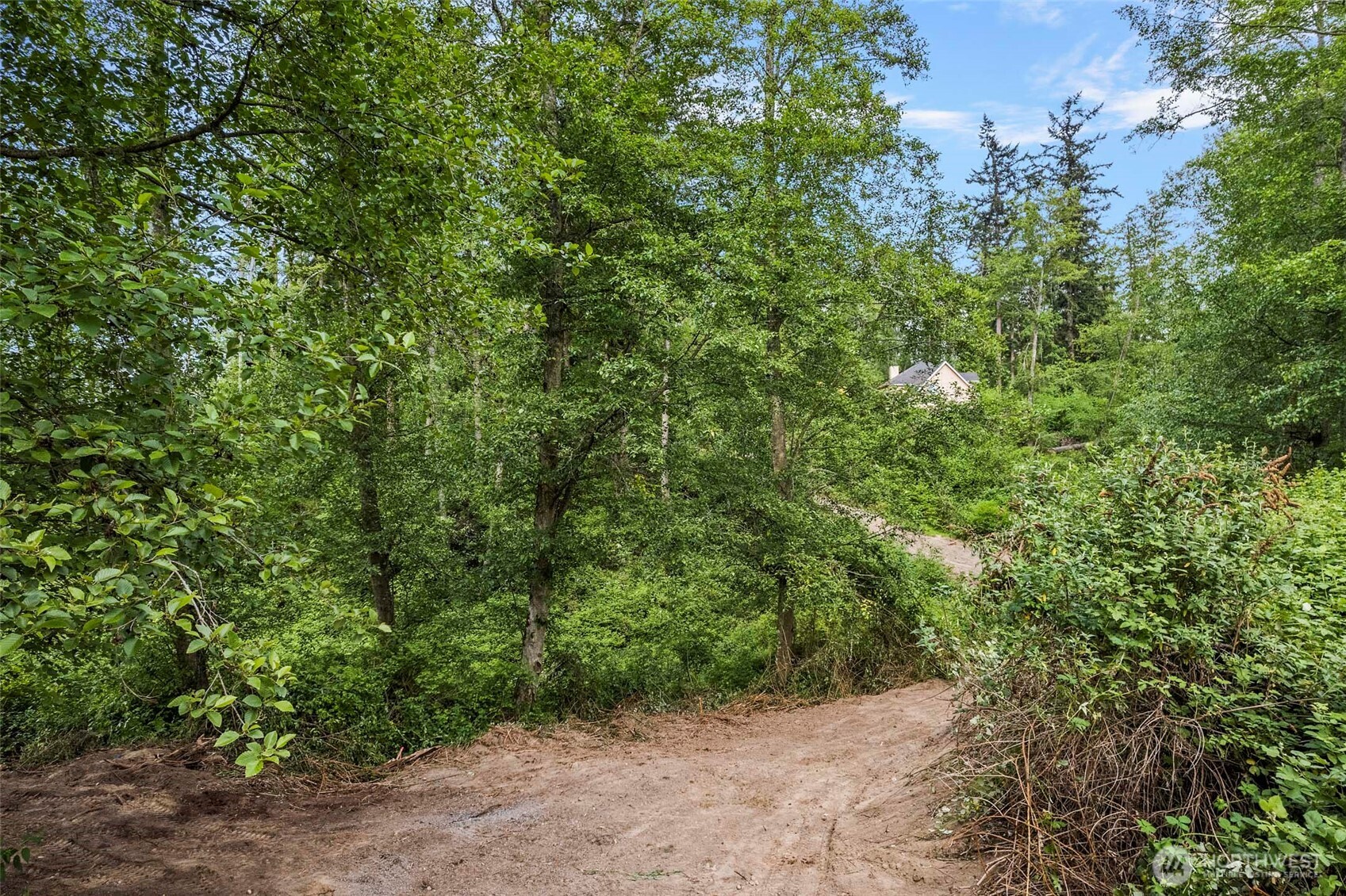 -xxx Osprey Road, Unit 152 Freeland, WA 98249 - Photo 2 of 14 a view of a forest with a tree