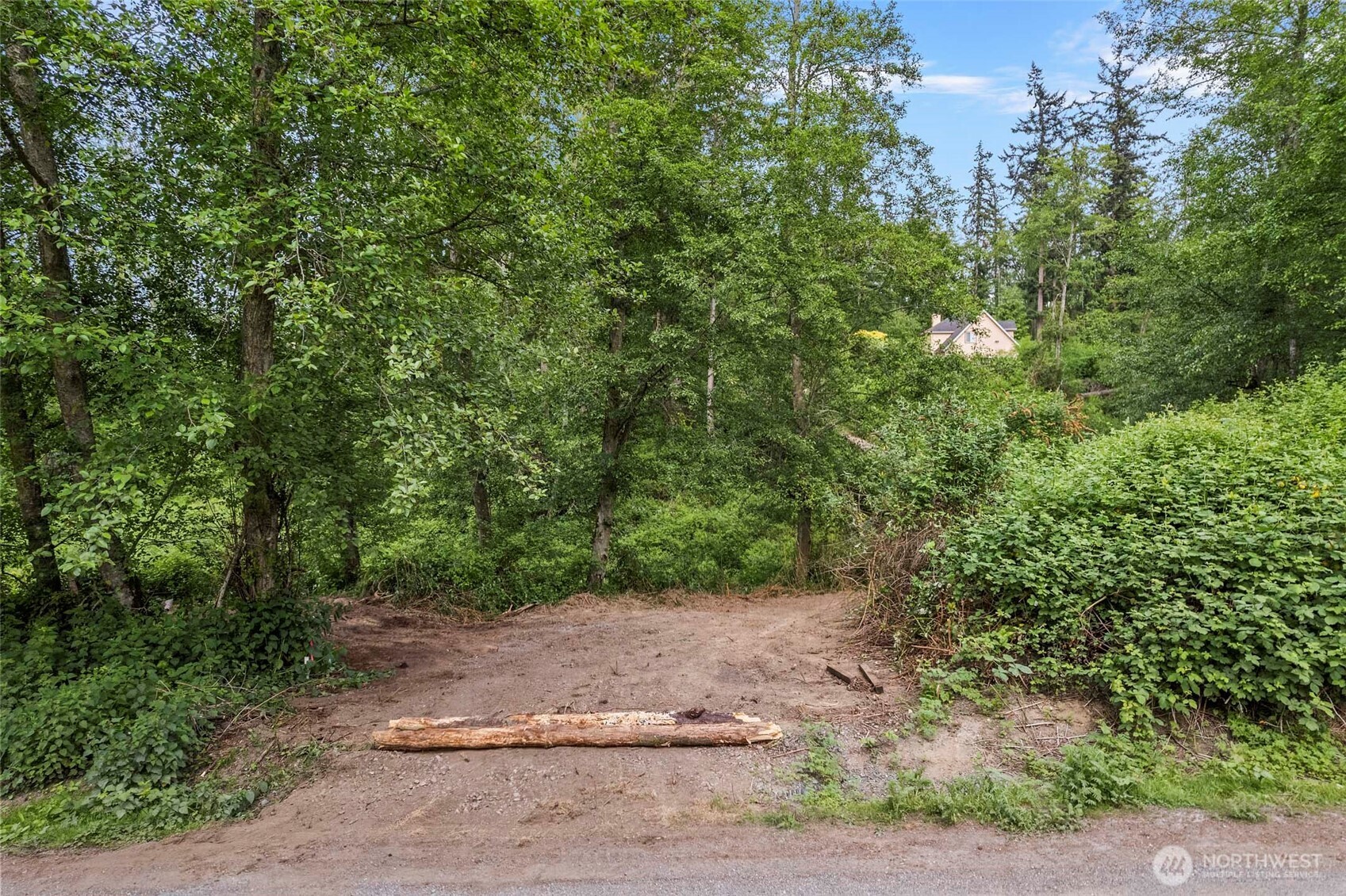 -xxx Osprey Road, Unit 152 Freeland, WA 98249 - Photo 3 of 14 a view of a yard with plants and trees