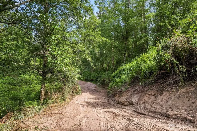 a big yard with lots of green space and trees