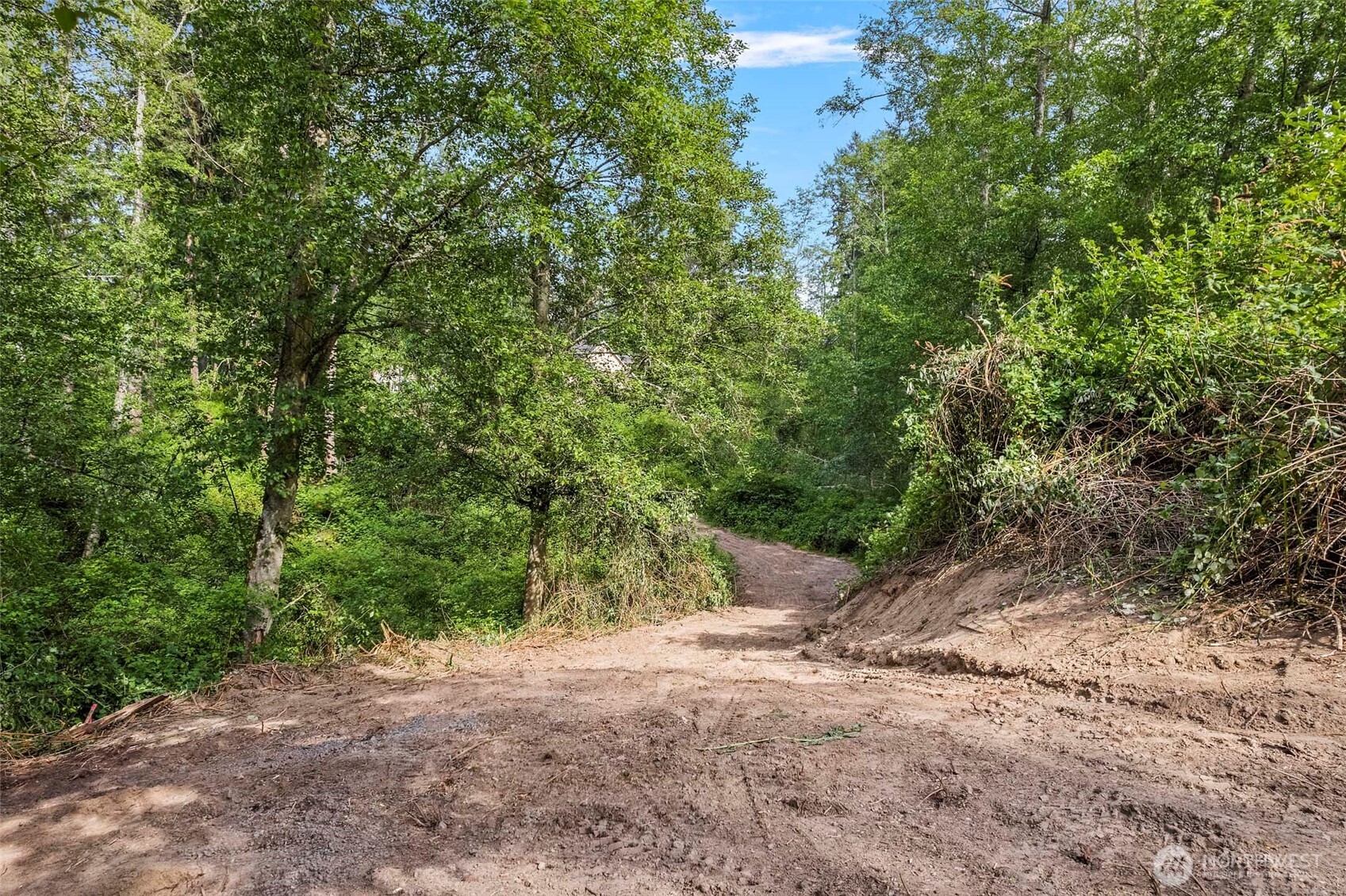 -xxx Osprey Road, Unit 152 Freeland, WA 98249 - Photo 10 of 14 a view of a dirt road with trees in the background