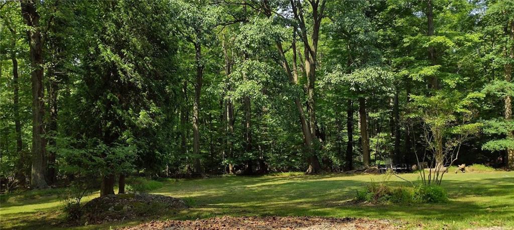 0 Chestnut Ridge Road Blairsville, PA 15717 - Photo 1 of 7 a grassy field with trees
