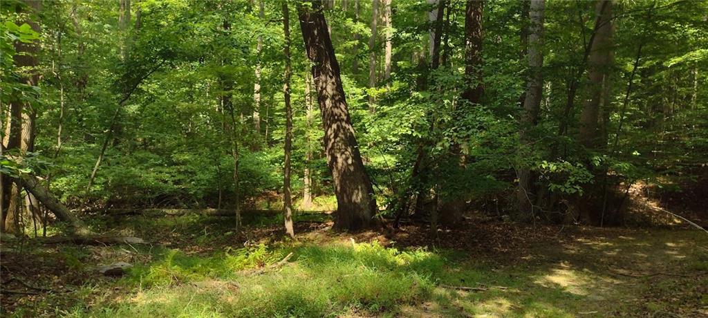 0 Chestnut Ridge Road Blairsville, PA 15717 - Photo 2 of 7 a view of yard