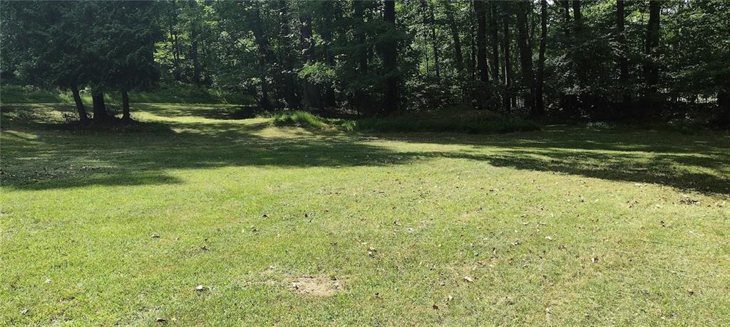 0 Chestnut Ridge Road Blairsville, PA 15717 - Photo 3 of 7 a view of a backyard